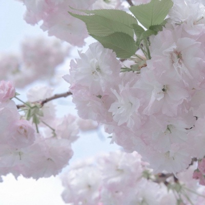 赤坎FurryQQ群介绍